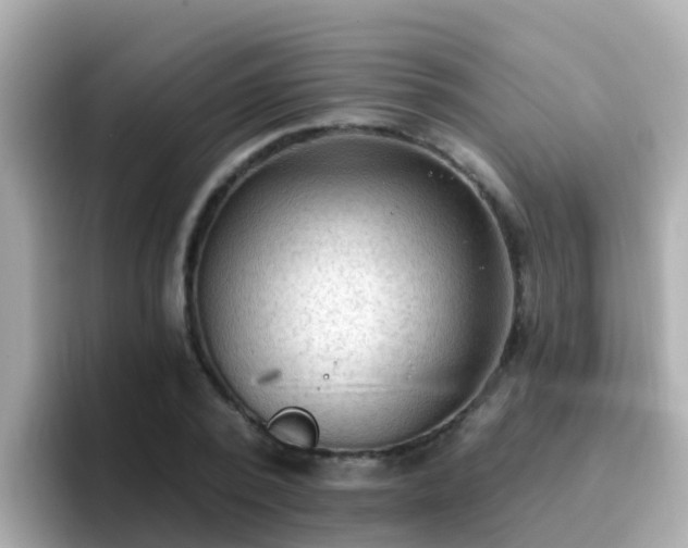 X0000096680784200802121211