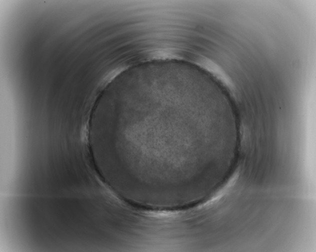 X0000096680785200802121211