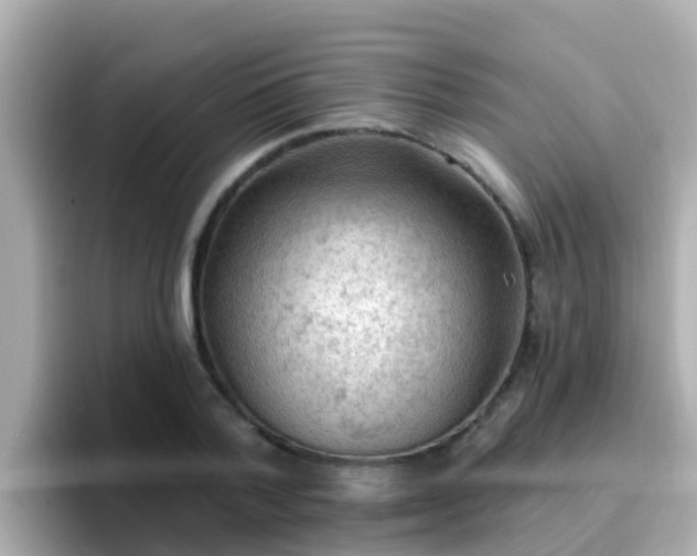 X0000096680788200802121211