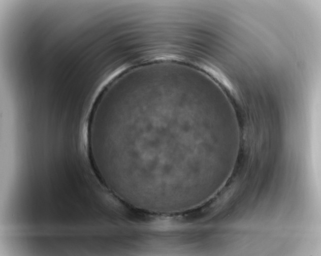 X0000096680790200802121211