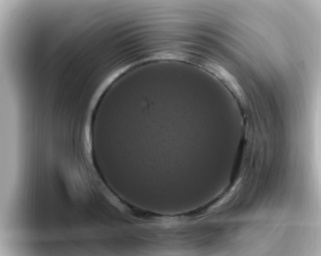 X0000096680796200802121210