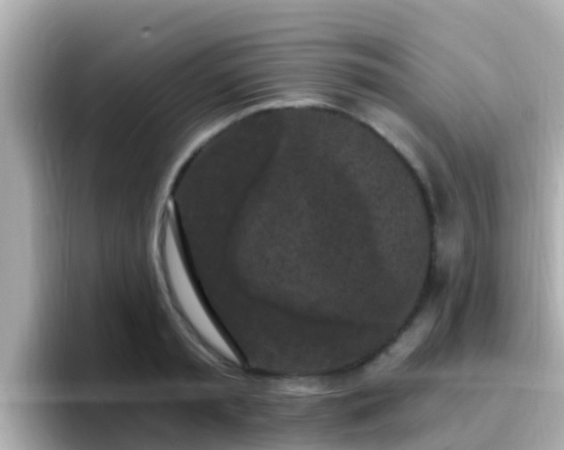 X0000096680797200802121210
