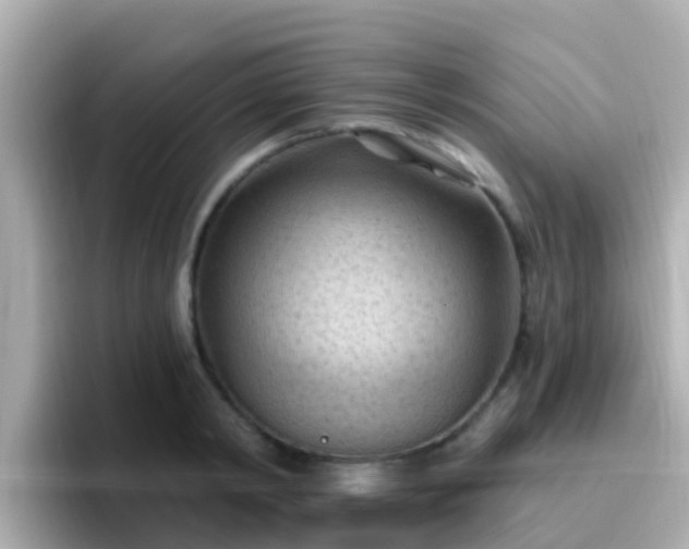 X0000096680798200802121210
