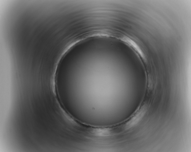 X0000096680802200802121210