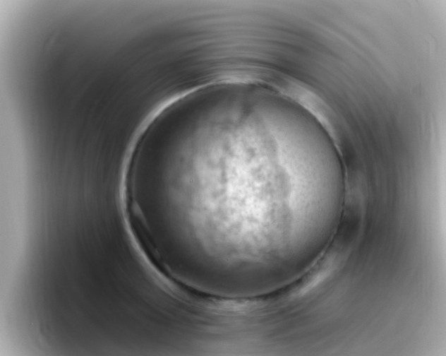 X0000096680803200802121210