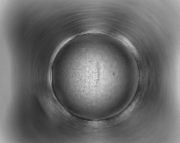 X0000096680804200802121210