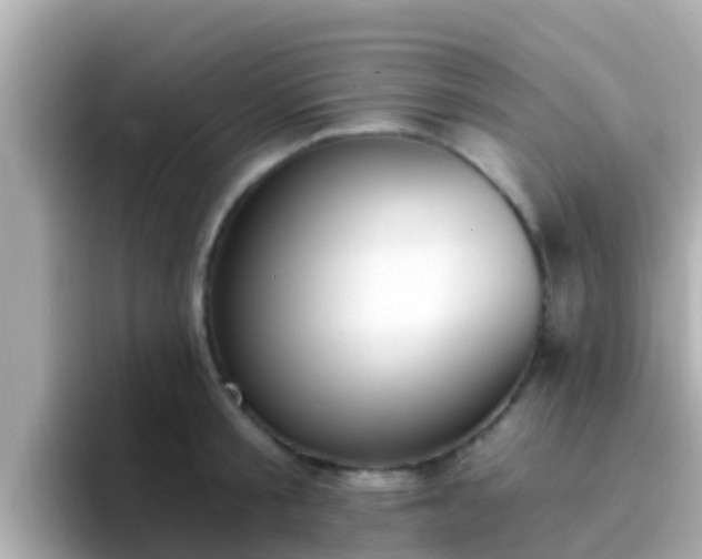 X0000096680805200802121210