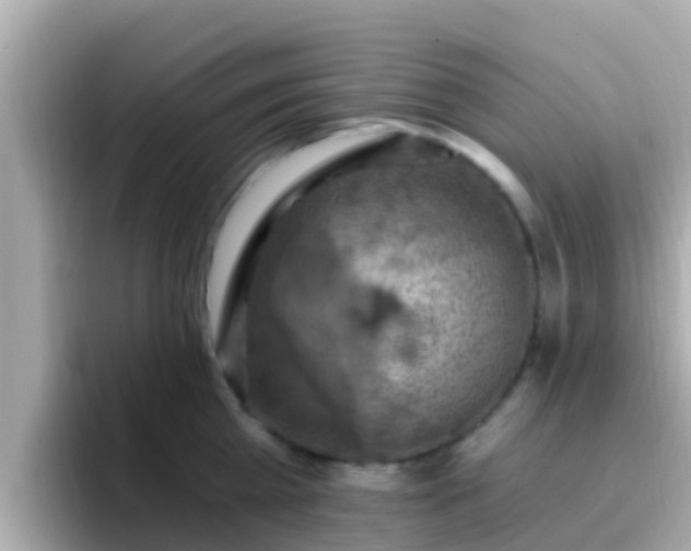 X0000096680809200802121210
