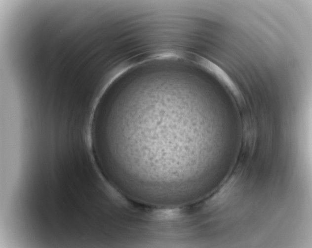 X0000096680810200802121210