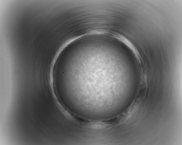 X0000096680811200802121210
