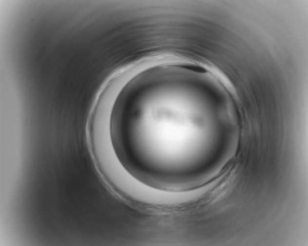 X0000096680813200802121210