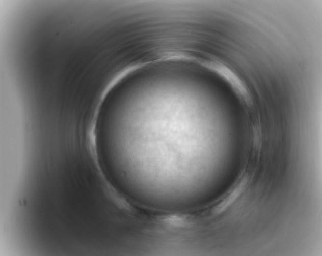 X0000096680814200802121210