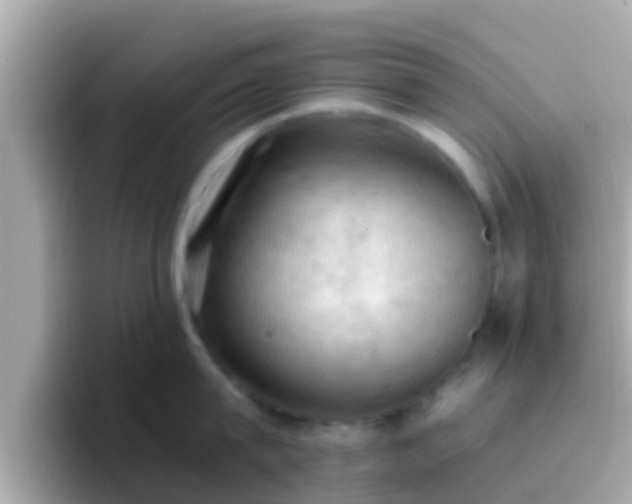 X0000096680815200802121210