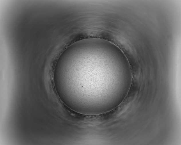X0000096680817200802121210