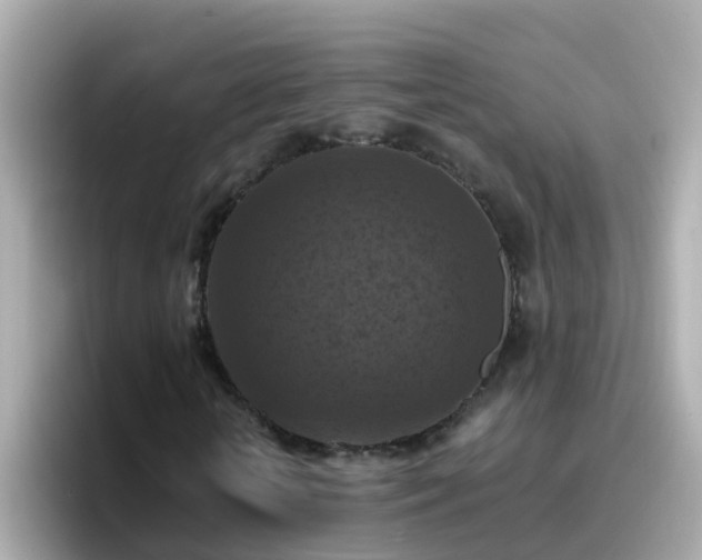 X0000096680818200802121210