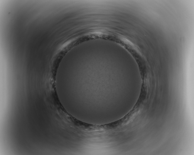 X0000096680822200802121210