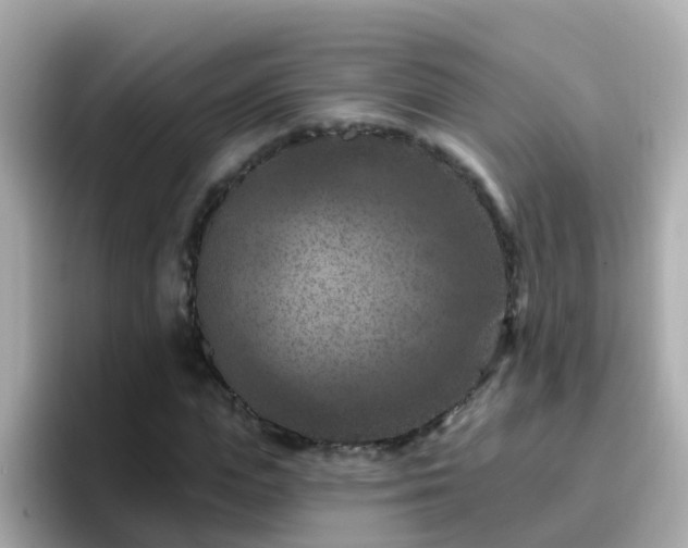 X0000096680823200802121210