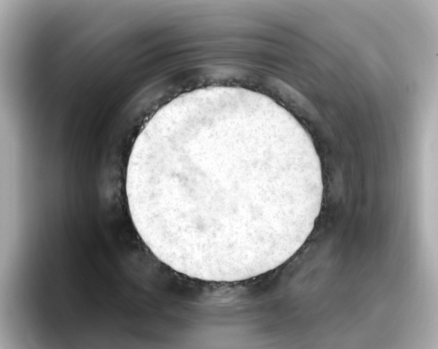 X0000096680824200802121210