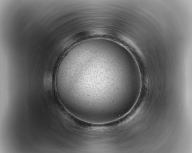 X0000096680825200802121210