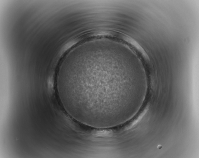 X0000096680826200802121210