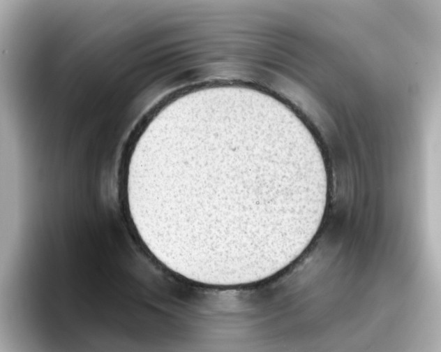 X0000096680828200802121210