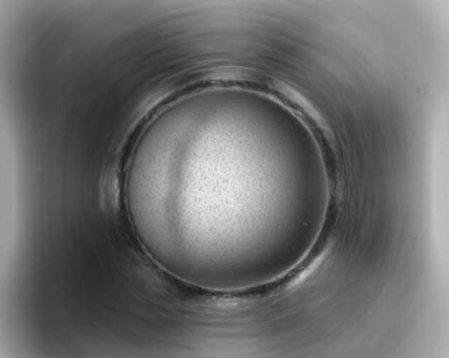 X0000096680829200802121210