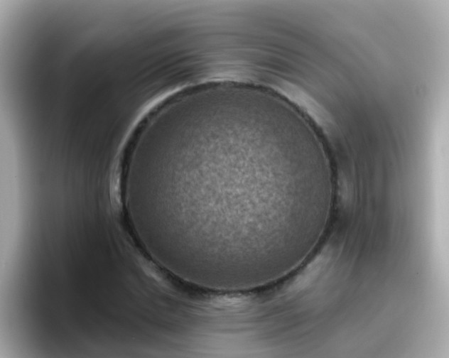 X0000096680830200802121210