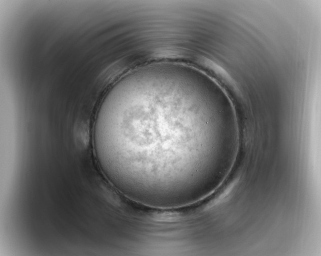 X0000096680833200802121210