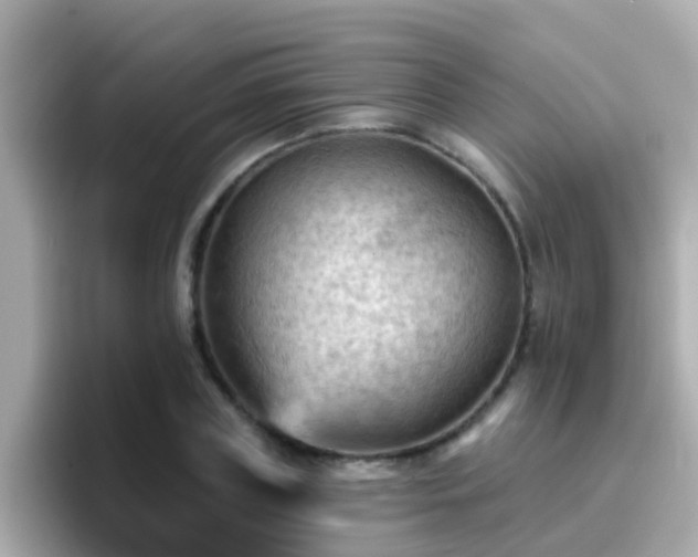 X0000096680835200802121210