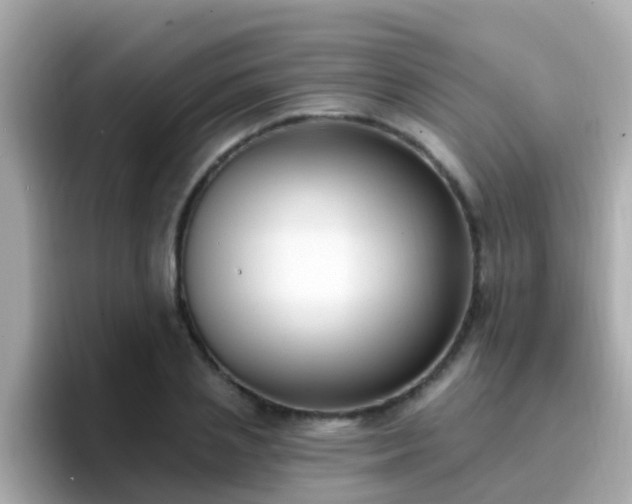 X0000096680837200802121210