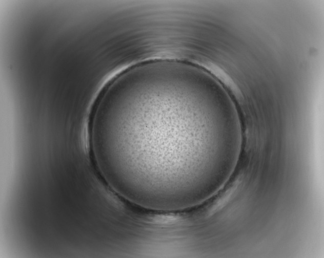 X0000096680838200802121210