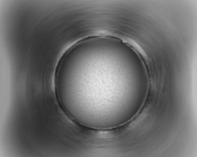 X0000096680839200802121210