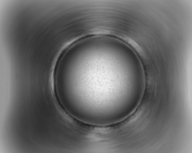 X0000096680840200802121210