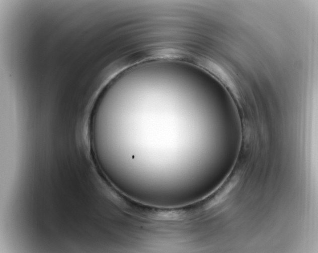 X0000096680843200802121210