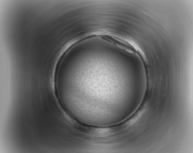 X0000096680845200802121210