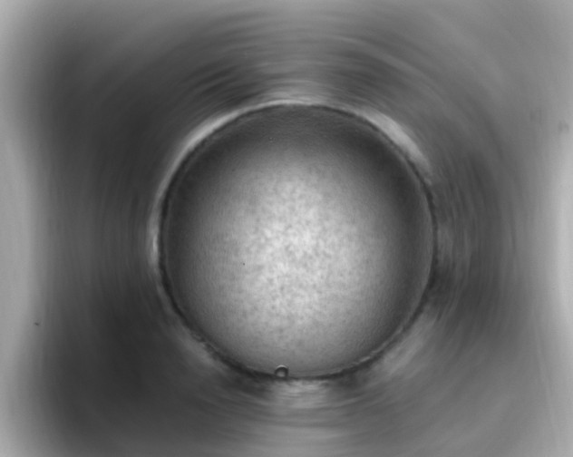 X0000096680846200802121210
