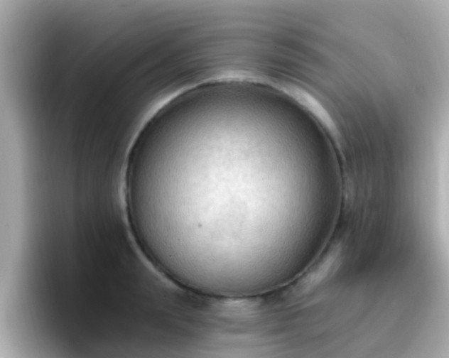 X0000096680847200802121210