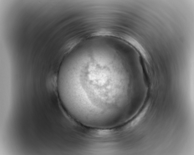 X0000096680849200802121210