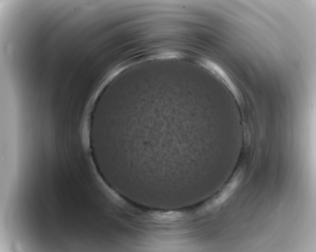 X0000096680851200802121210