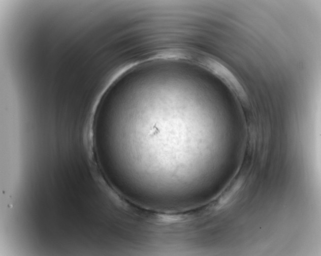 X0000096680852200802121210