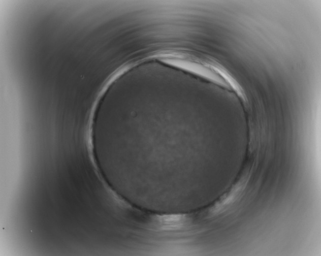 X0000096680853200802121210