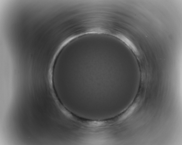 X0000096680854200802121210