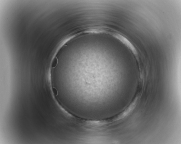 X0000096680855200802121210