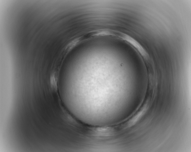 X0000096680857200802121210