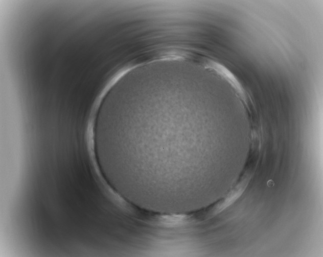 X0000096680859200802121210