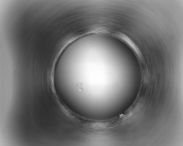 X0000096680861200802121210