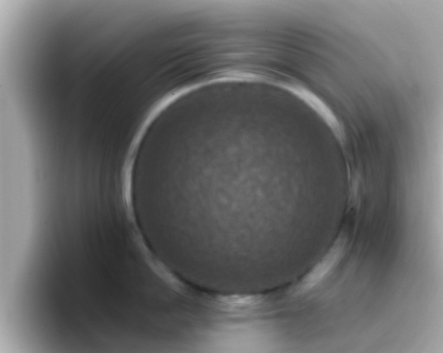X0000096680862200802121210