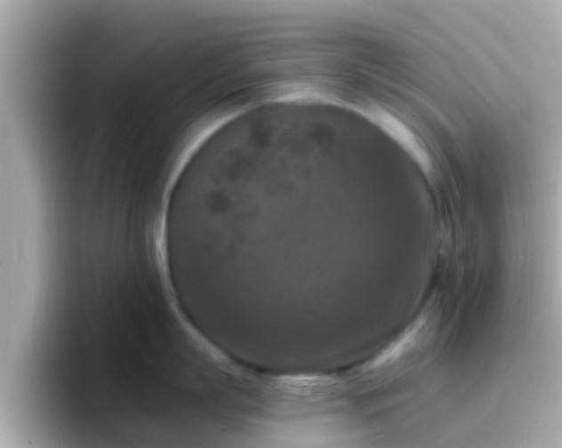 X0000096680863200802121210