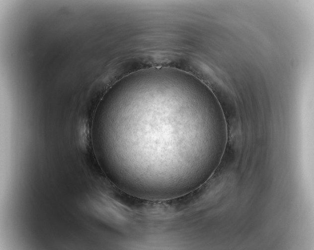 X0000096680866200802121210