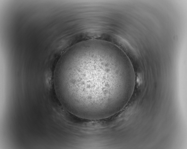 X0000096680867200802121210